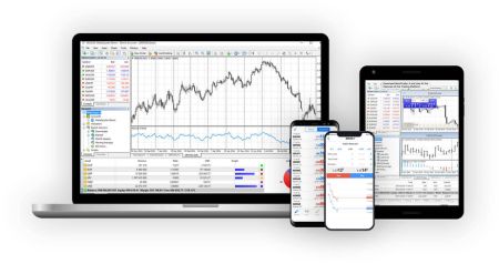 Téléchargez, installez et connectez-vous à Octa MetaTrader 4 (MT4), MetaTrader 5 (MT5), cTrader pour Web, ordinateur de bureau, Android, iOS